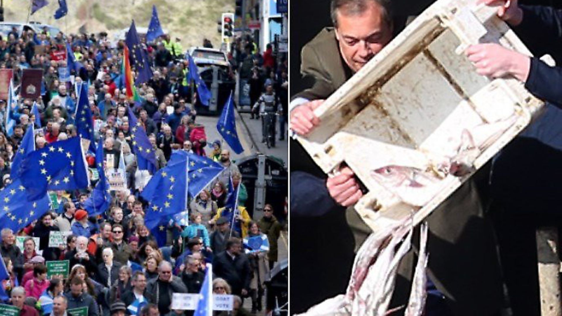 Pro-EU regional rallies across the country received little media attention, whereas Nigel Farage's fish protest was covered everywhere. (Photographs: PA) - Credit: Archant