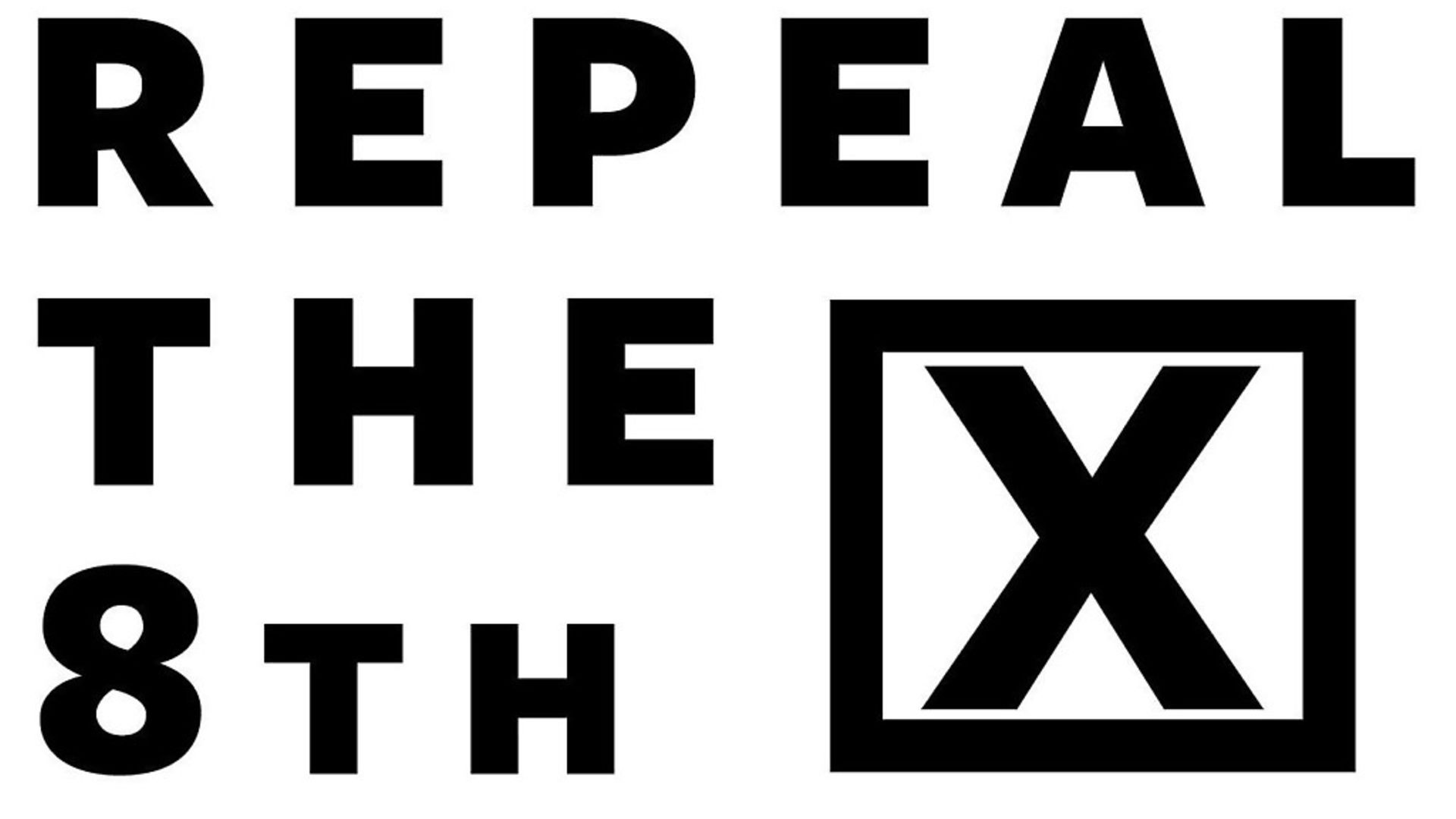 Repeal the 8th, a collection of stories and essays. Picture:  Archant - Credit: Archant