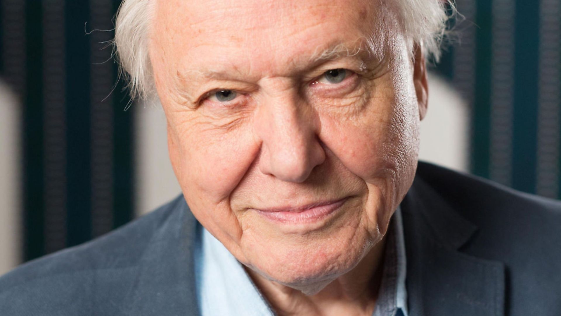 Sir David Attenborough as been told to desist from making any more disparaging comments about Brexit - Credit: PA Wire/PA Images