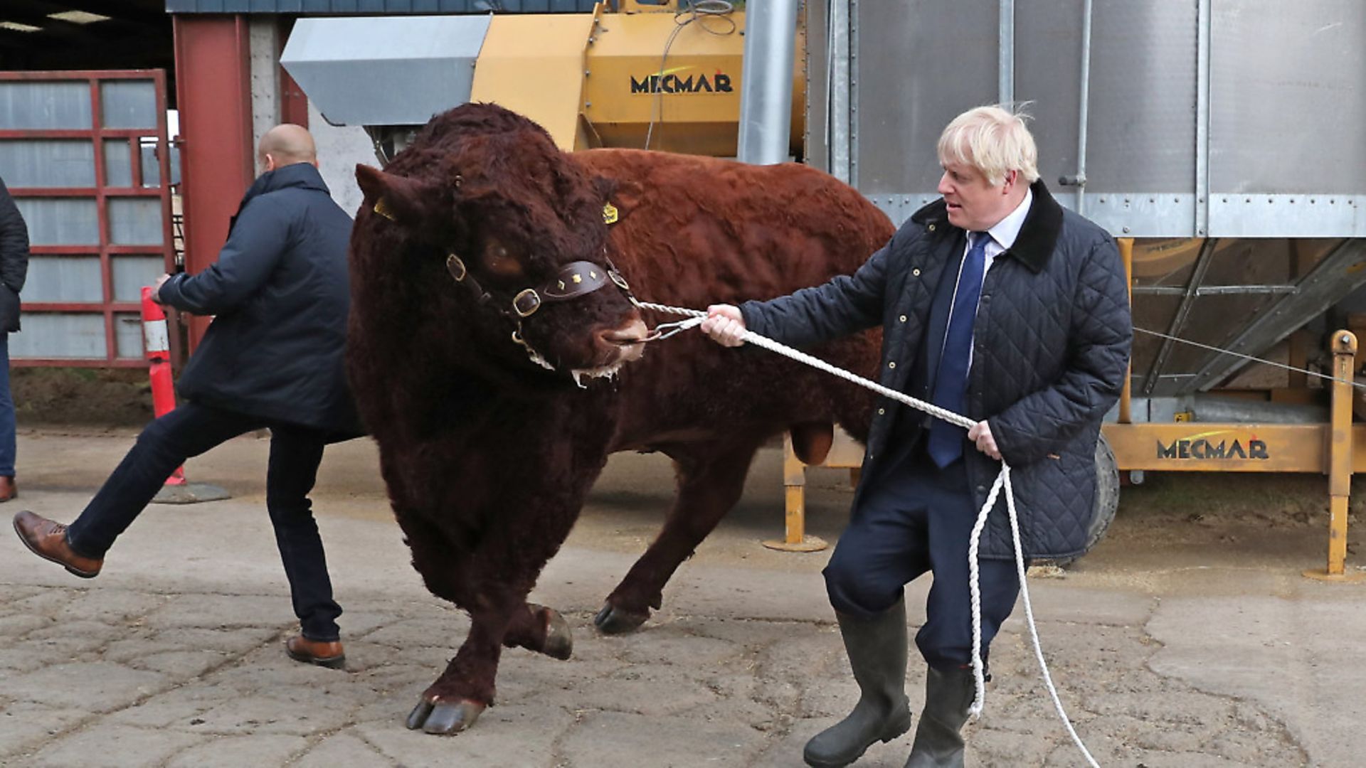 Boris Johnson walking a bull during a visit to Darnford Farm in Banchory near Aberdeen. Photograph: Andrew Milligan/PA