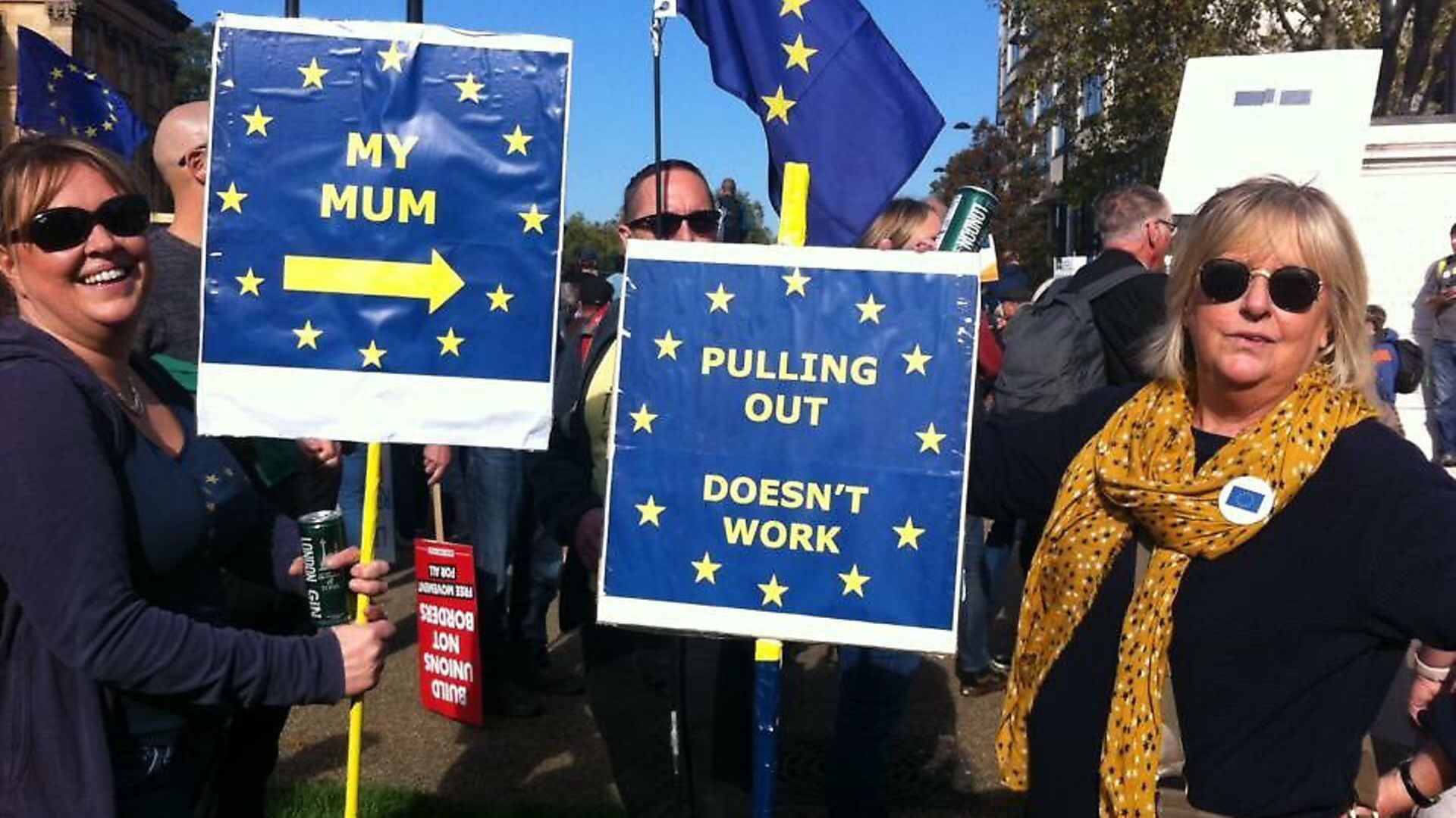 People's Vote March - Katy Tuck - Credit: Archant