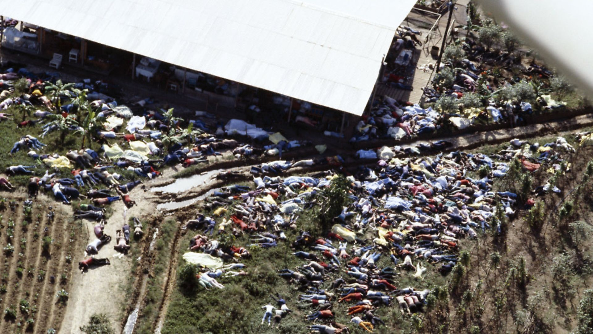 social psychology case study the jonestown massacre