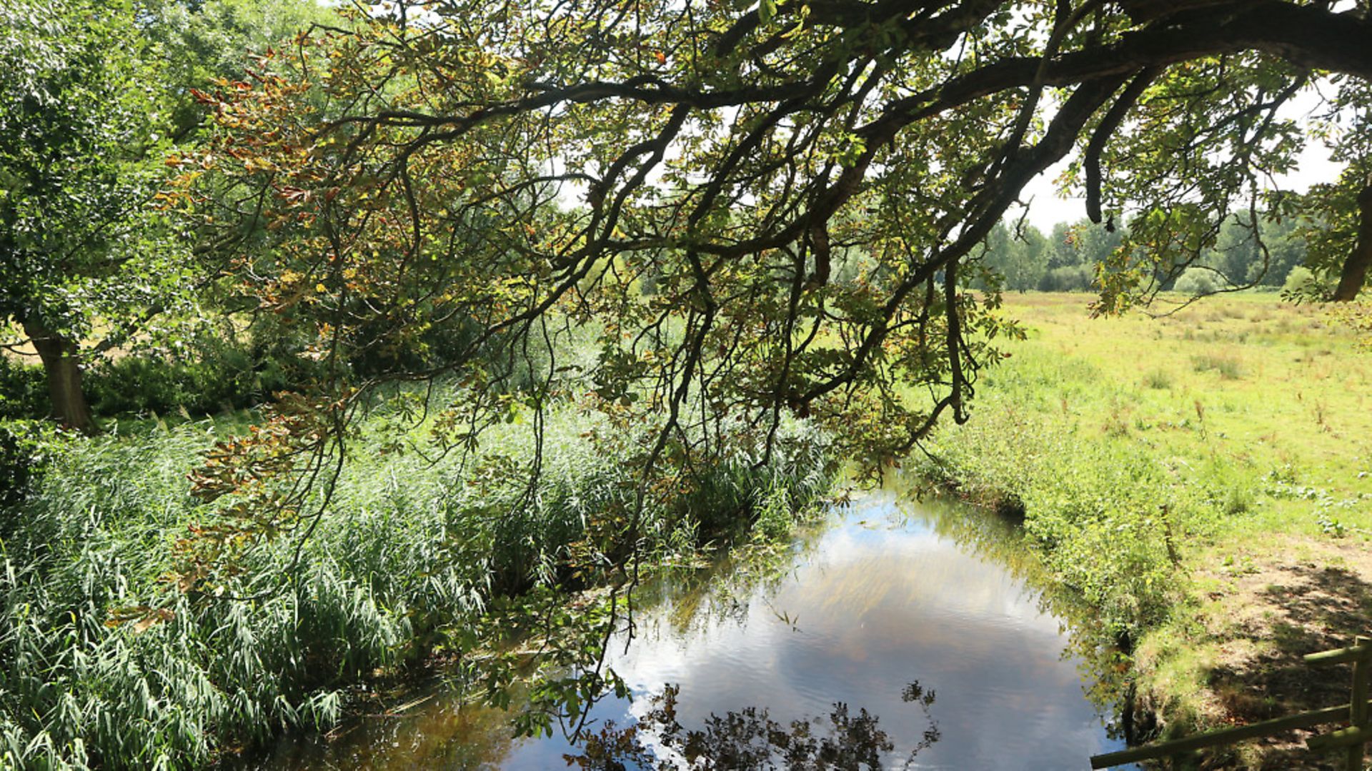 East Anglia is the region where the largest concentration of early Old English runic inscriptions has been found, for example at North Elmham in north Norfolk. Photo: Archant - Credit: Archant