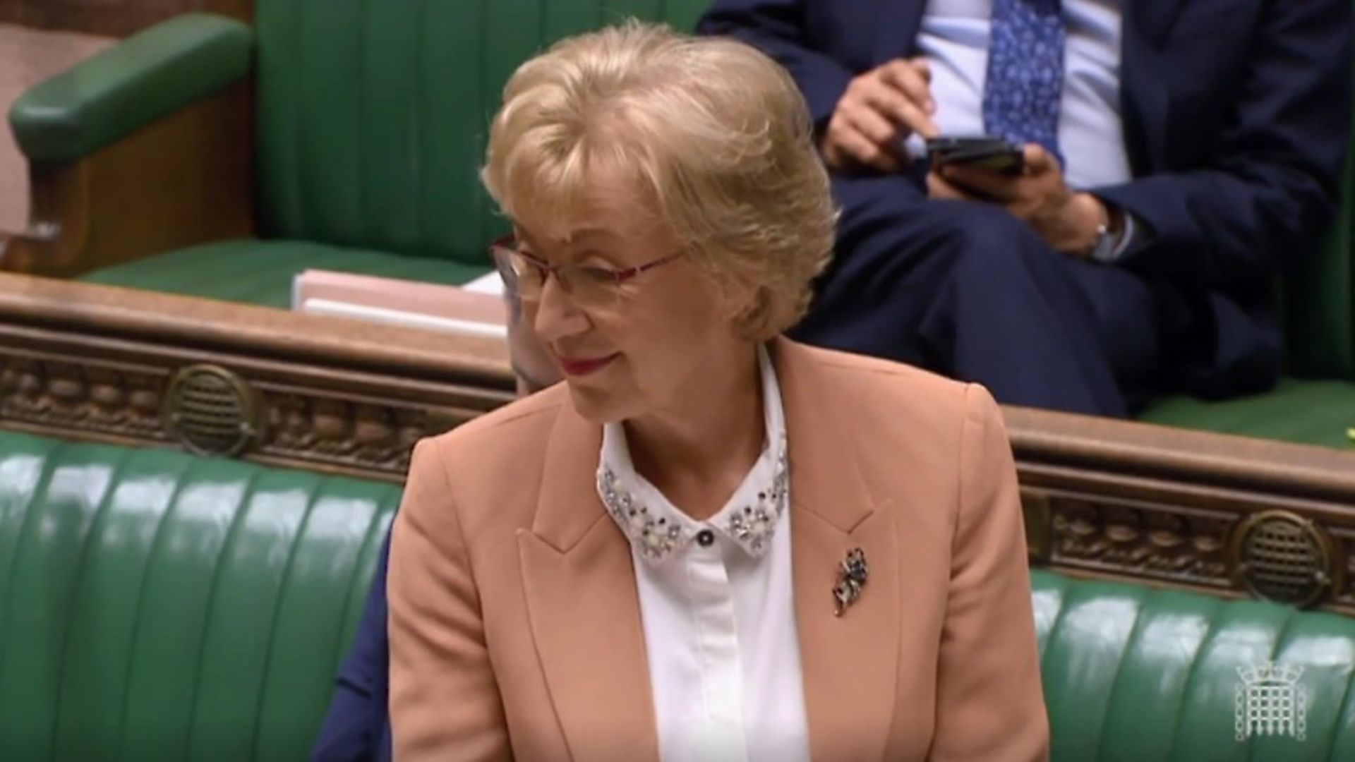Andrea Leadsom in the House of Commons. Photograph: Parliament TV. - Credit: Archant