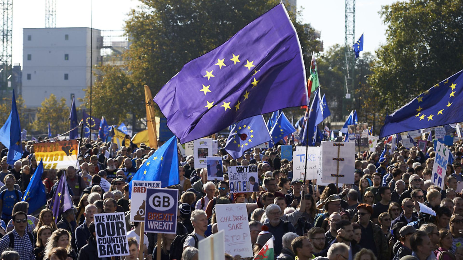 Demonstrators hold placards and European Union flags as they take part in a march calling for a People's Vote on the final Brexit deal. (Photo: NIKLAS HALLE'N/AFP/Getty Images) - Credit: AFP/Getty Images