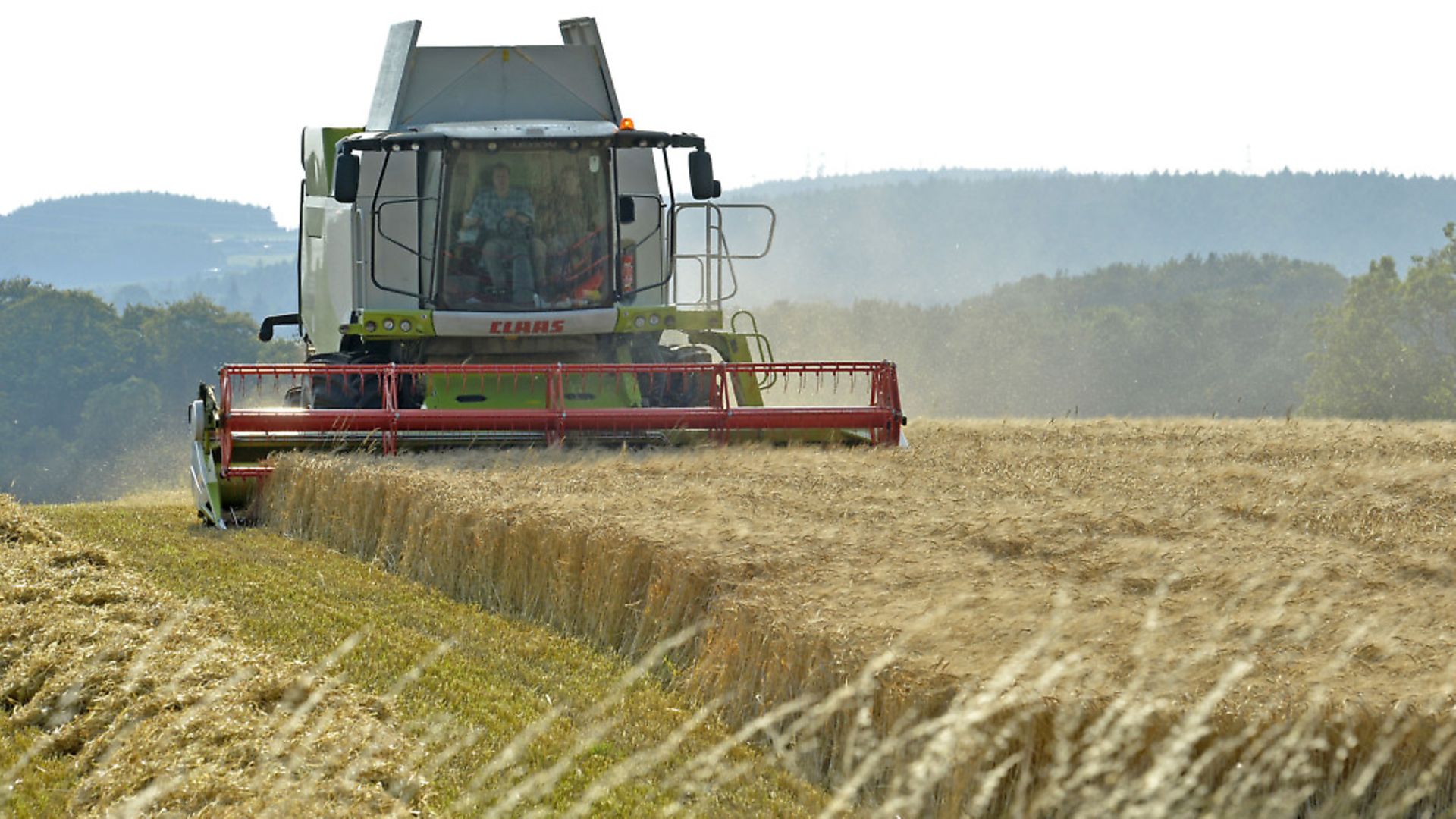 A no-deal Brexit is the "stuff of nightmares" for British farmers, National Farmers' Union president Minette Batters has warned. Photograph: Owen Humphreys/PA Wire. - Credit: PA