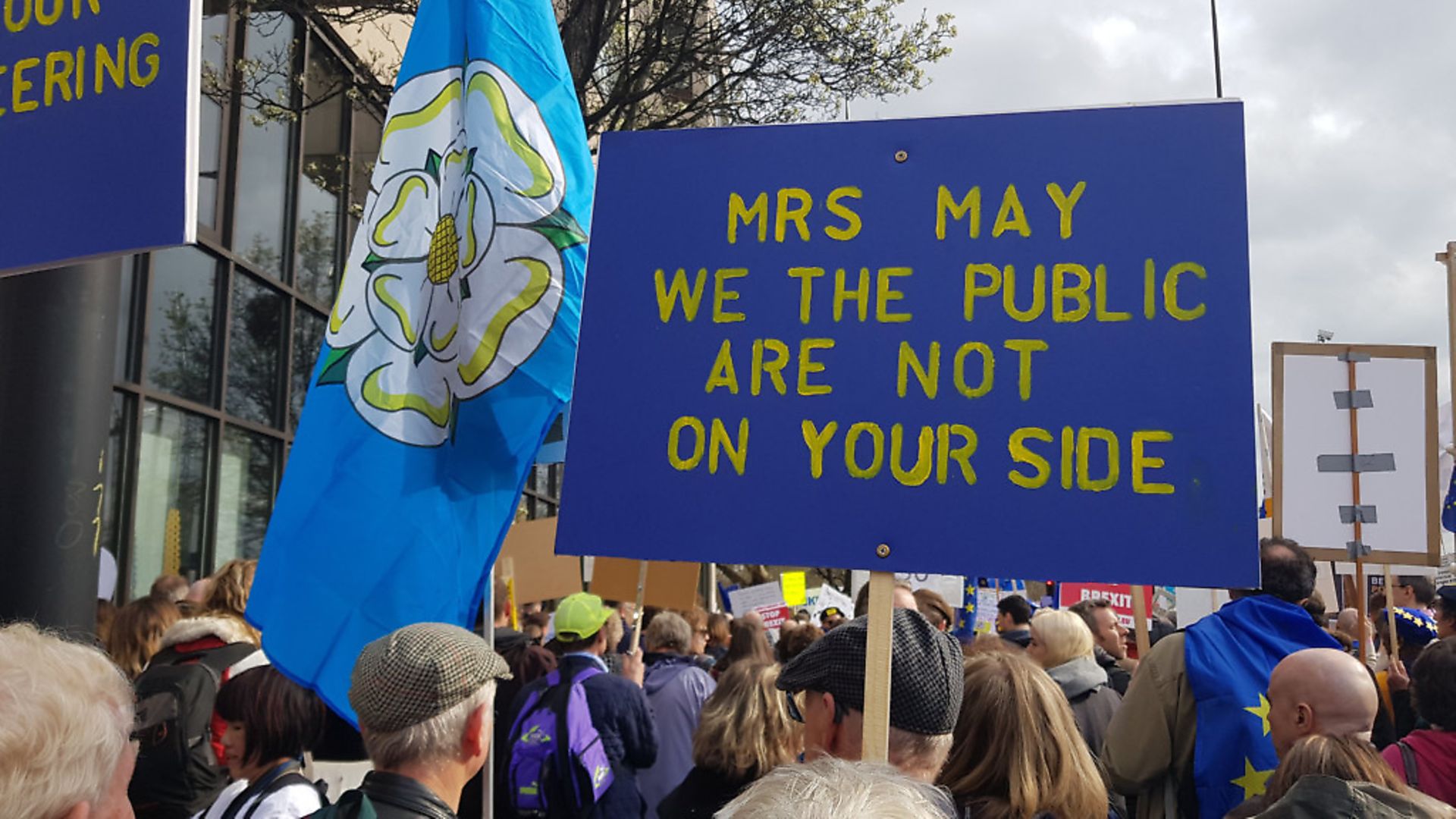 People's Vote Placards (Jono Read) - Credit: Archant