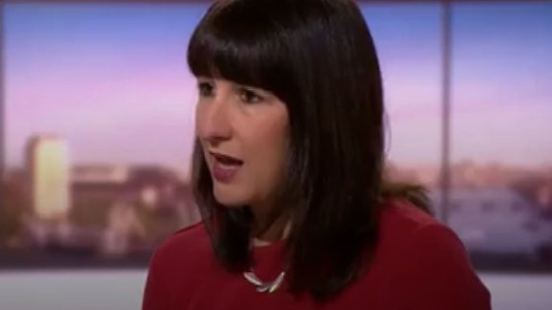 Rachel Reeves, Keir Starmers shadow cabinet minister. Photo: BBC One. - Credit: BBC One