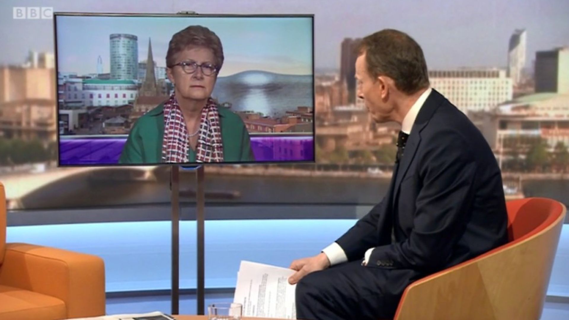 Vote Leave chair Gisela Stuart on the BBC Andrew Marr Show. - Credit: Archant
