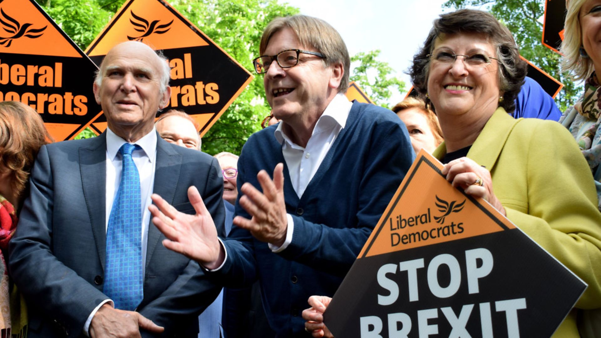Vince Cable, Guy Verhofstadt and former MEP Catherine Bearder - Credit: PA