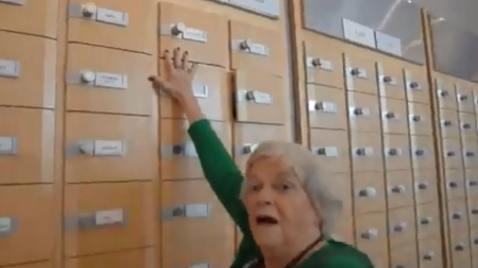 Ann Widdecombe in the European Parliament. (Photograph: Brexit Party/Twitter) - Credit: Archant