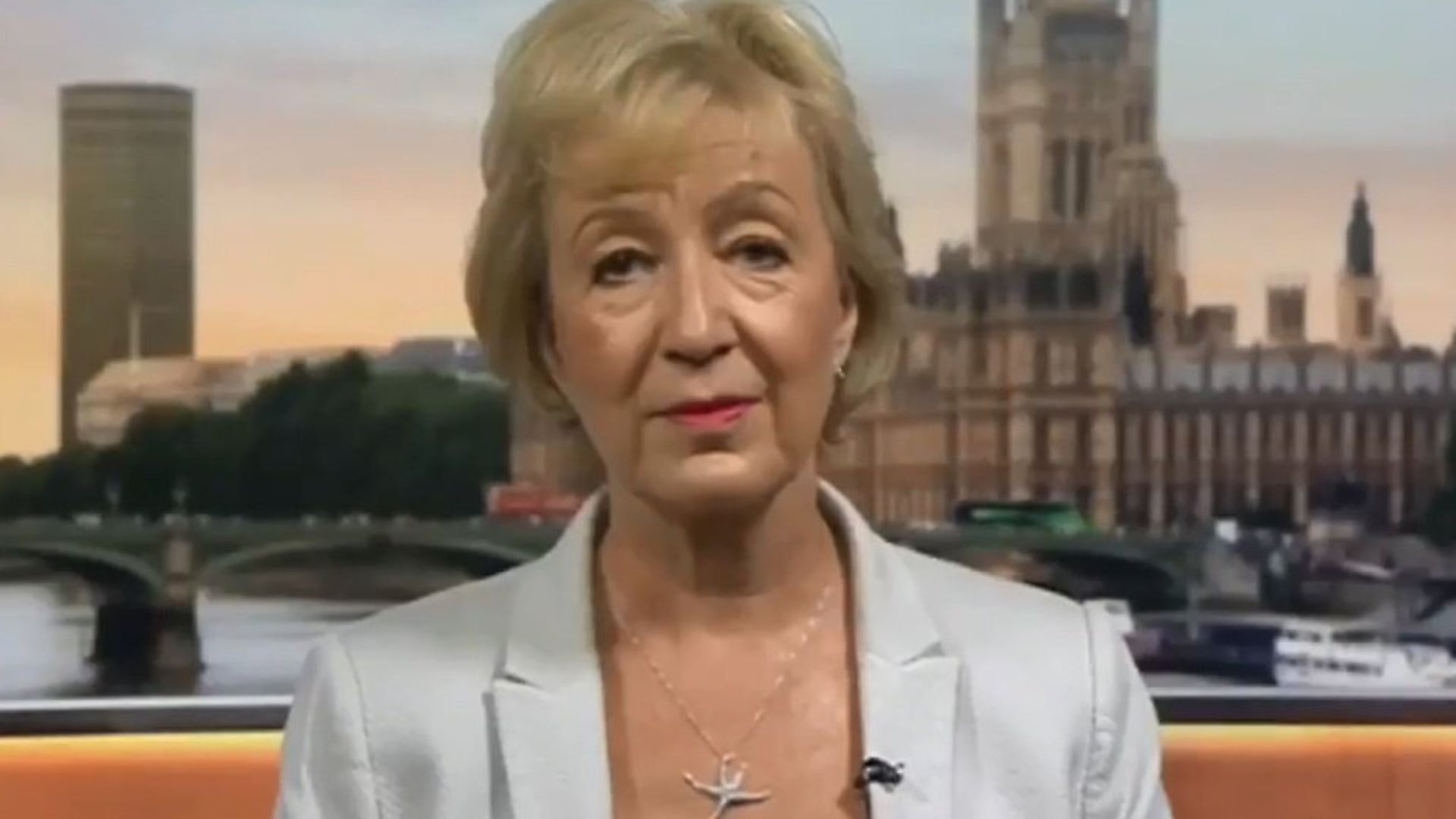 Andrea Leadsom appears on BBC Breakfast. Photograph: BBC. - Credit: Archant
