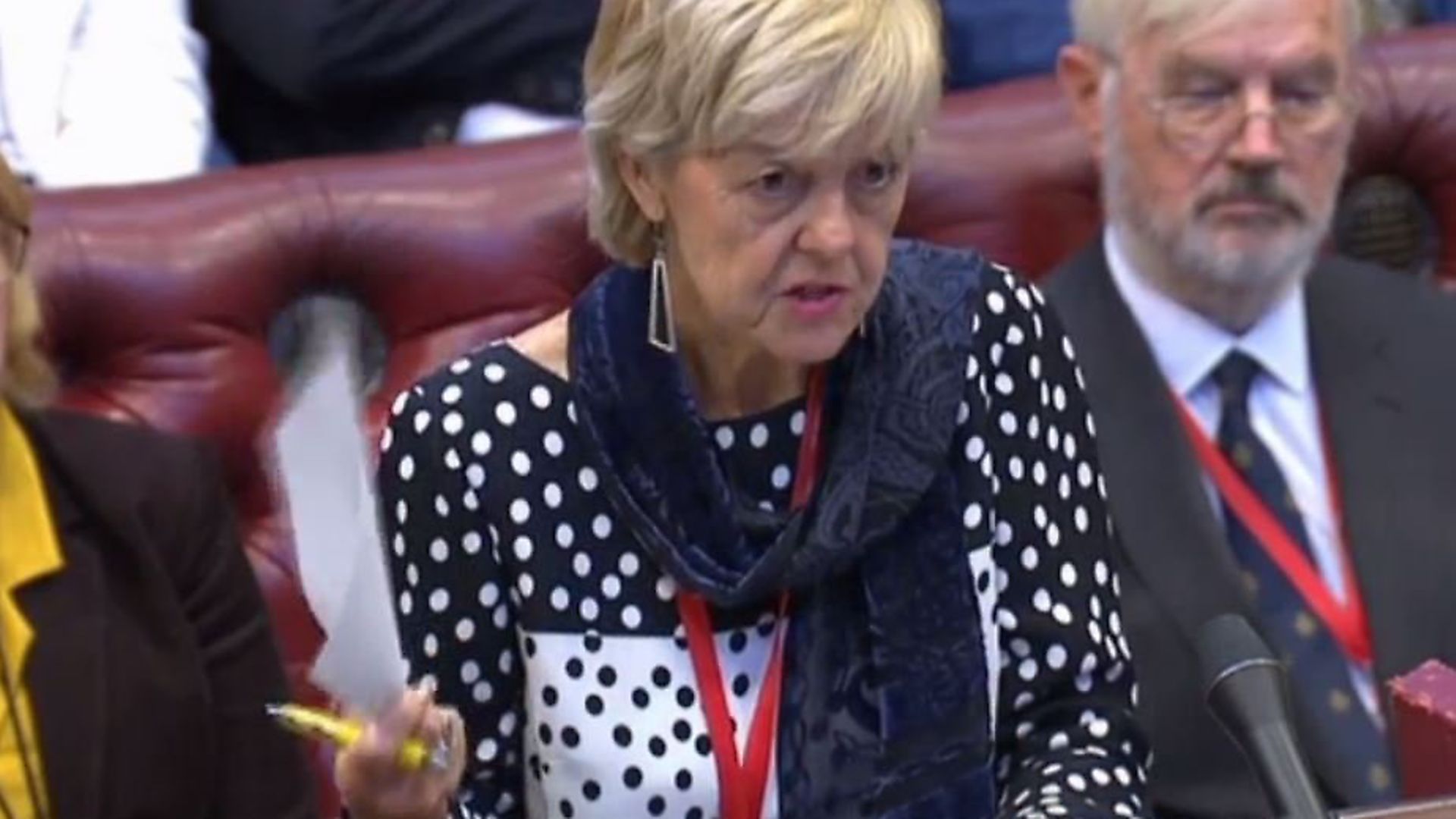 Baroness Hayter was not reassured by Lord Callanan's reply to her question about the Article 50 extension. Picture: Parliament TV - Credit: Parliament TV