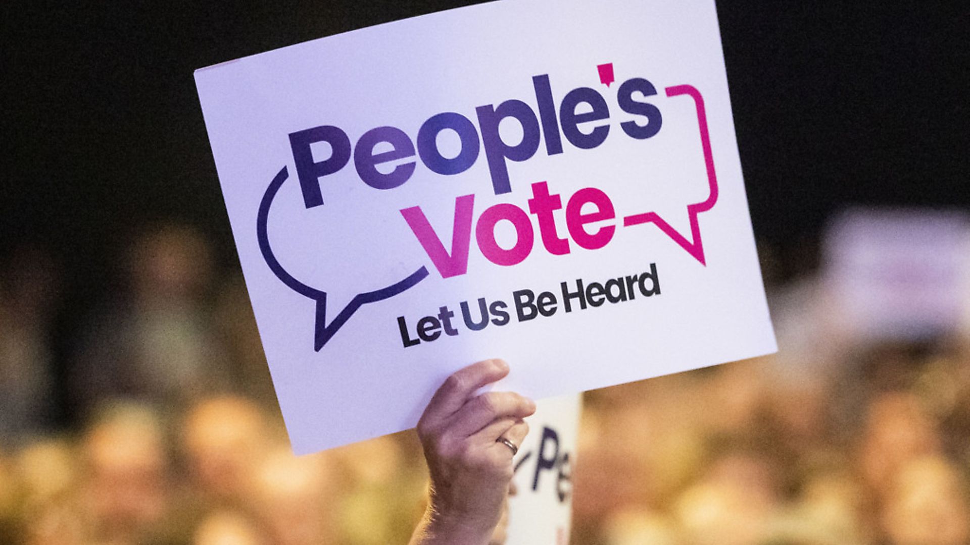 People's Vote campaigner. Photo: Danny Lawson/PA