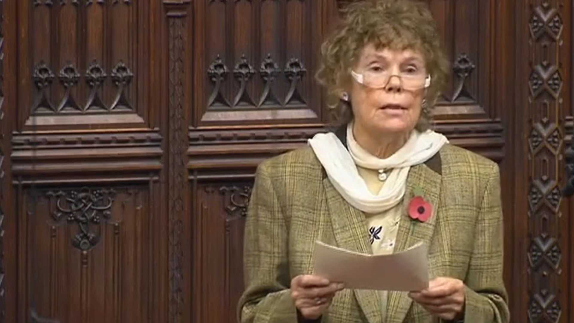 Kate Hoey in the House of Lords - Credit: Parliament Live