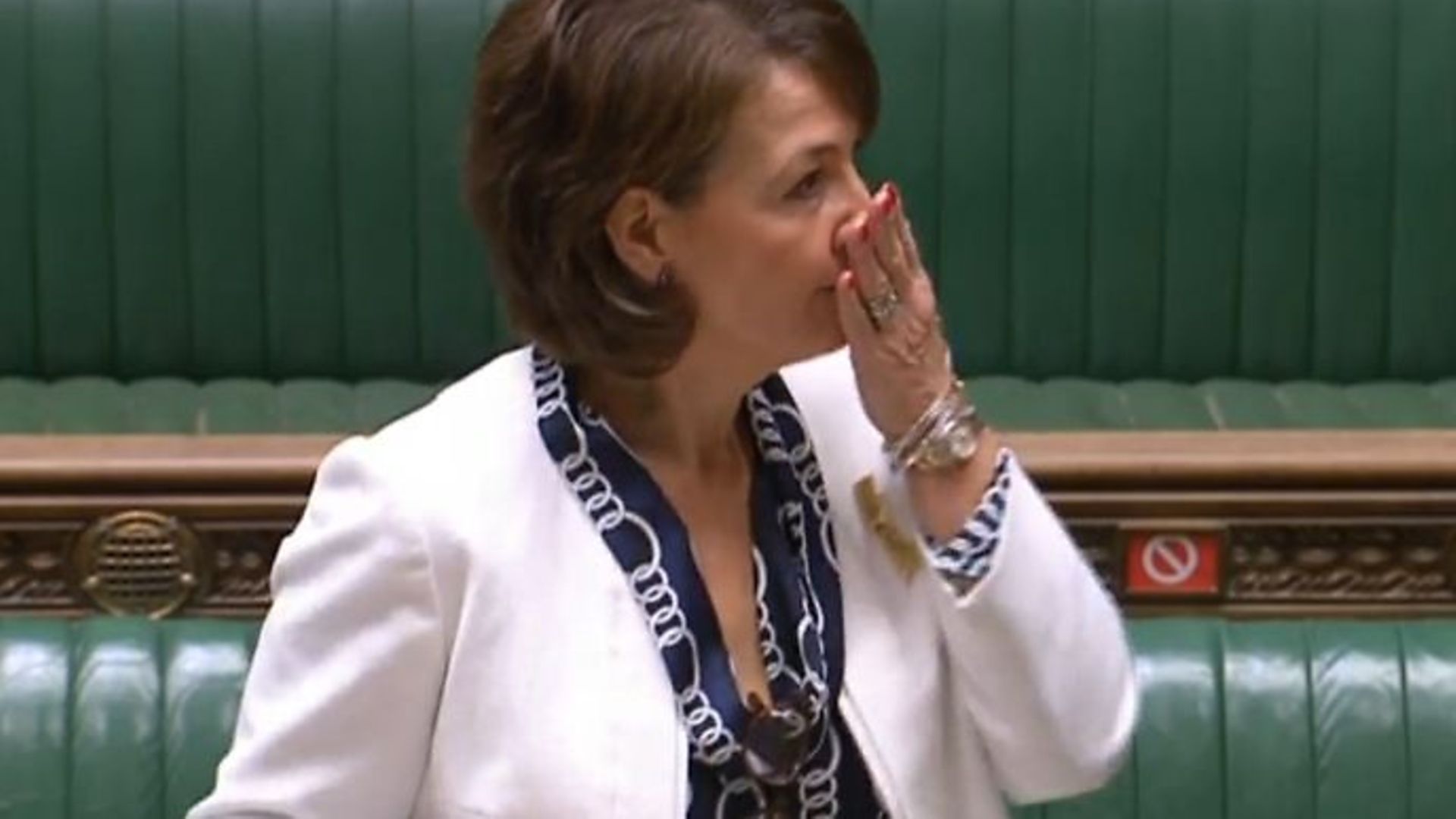 Tory minister Jo Churchill was reprimanded by the Speaker of the House for calling Labour MPs 'children' during a debate - Credit: parliamentlive.tv