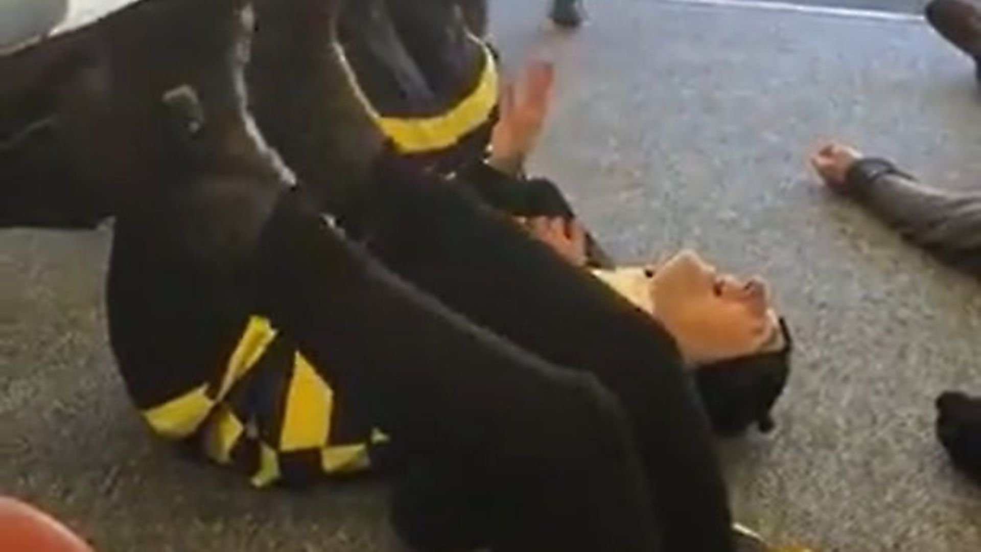 Protesters dressed as bees laid down on the floor of Grimsby's Brexit Party offices and buzzed in protest. Picture: Christopher Barker - Credit: Christopher Barker