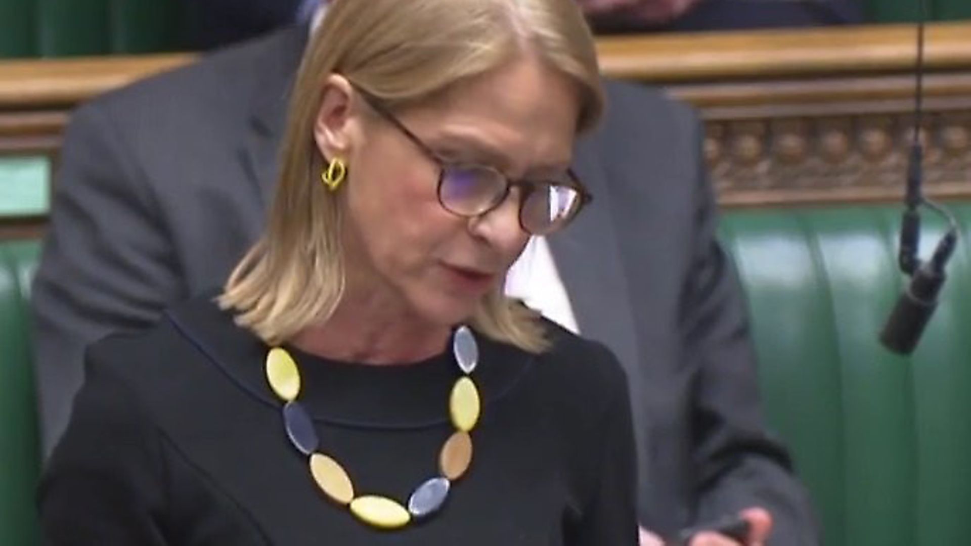 Vera Hobhouse MP. Photograph: Parliament TV. - Credit: Archant