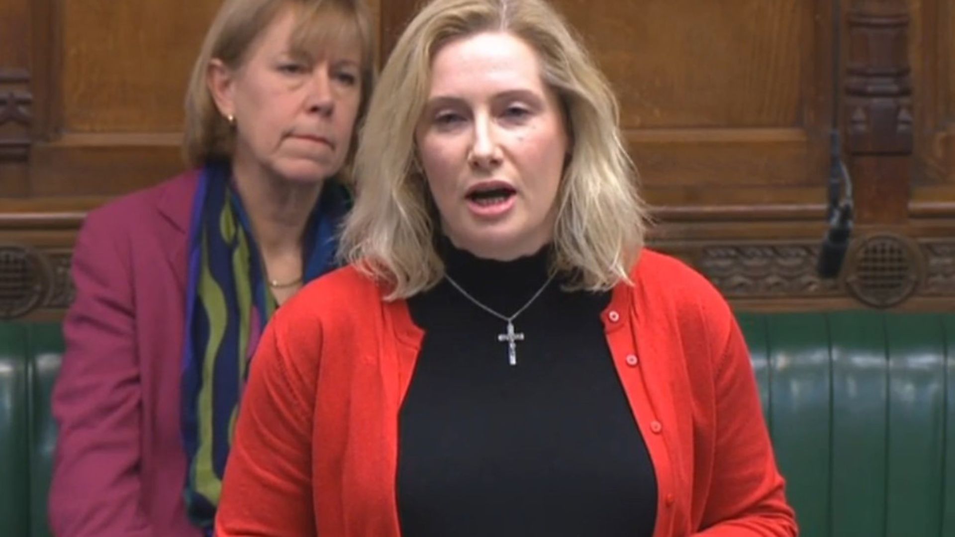 Emma Lewell-Buck in the House of Commons. Photograph: Parliament TV. - Credit: Archant
