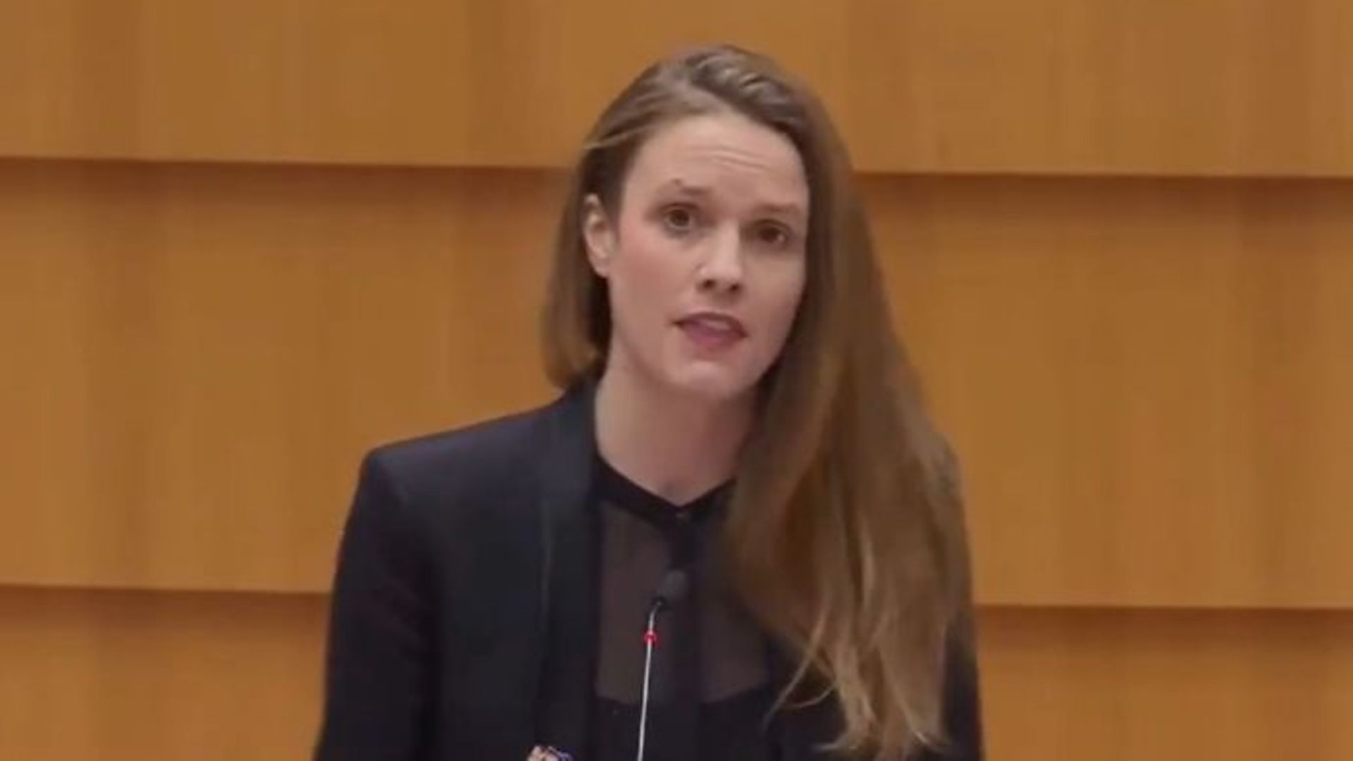 German MEP Theresa Reintke - Credit: Twitter