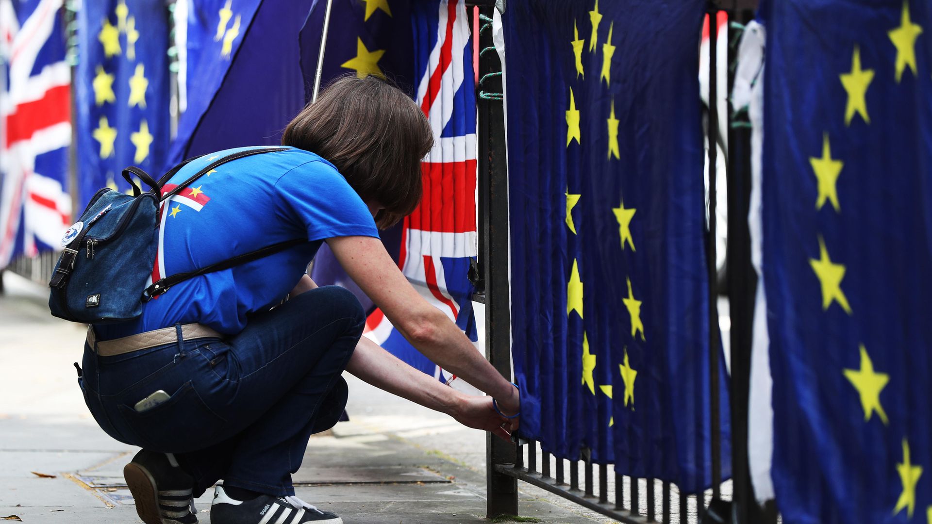 A pro-European activist with European flags - Credit: PA