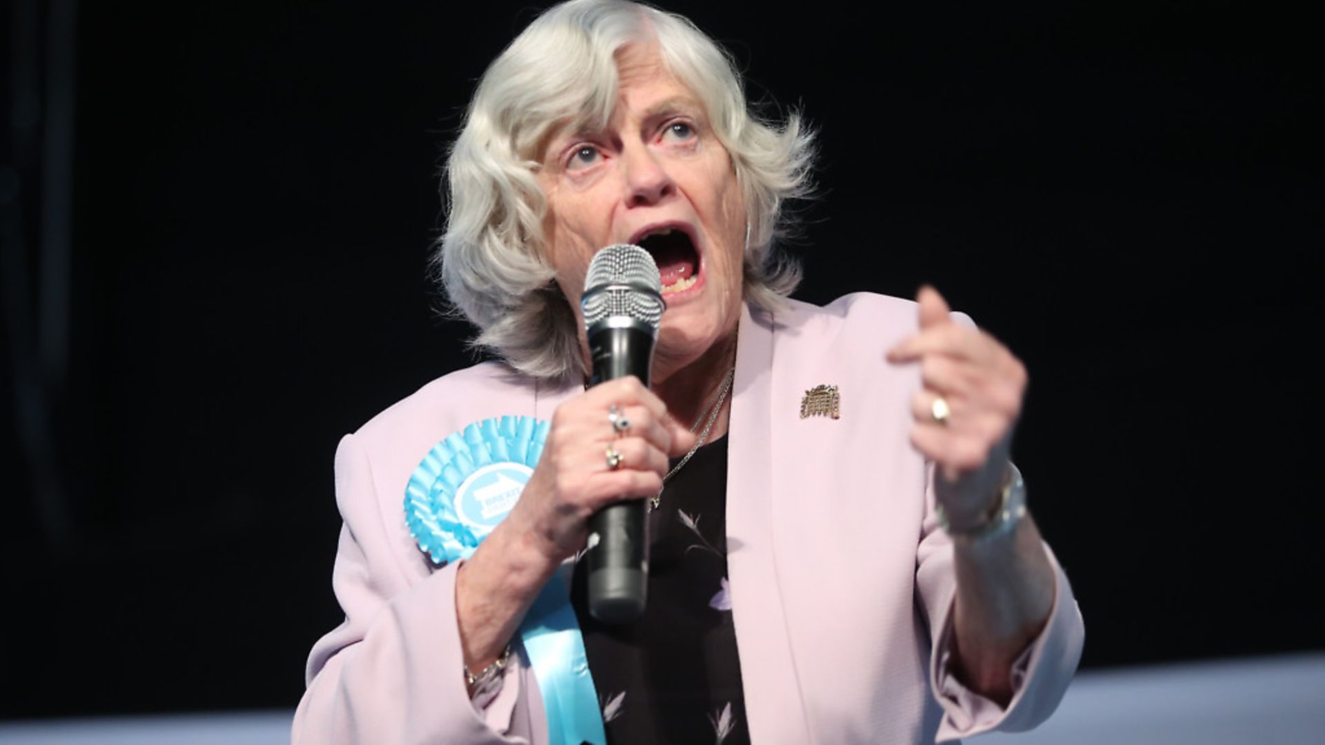 Ann Widdecombe, seen here during a Brexit Party rally Picture: Danny Lawson/PA Wire/PA Images - Credit: PA Wire/PA Images