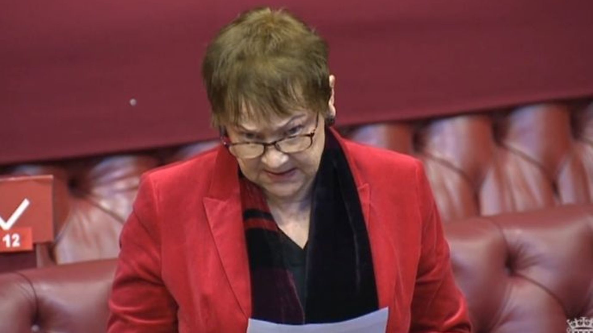 Liberal Democrat Baroness Ludford speaking in House of Lords - Credit: Parliamentlive.tv