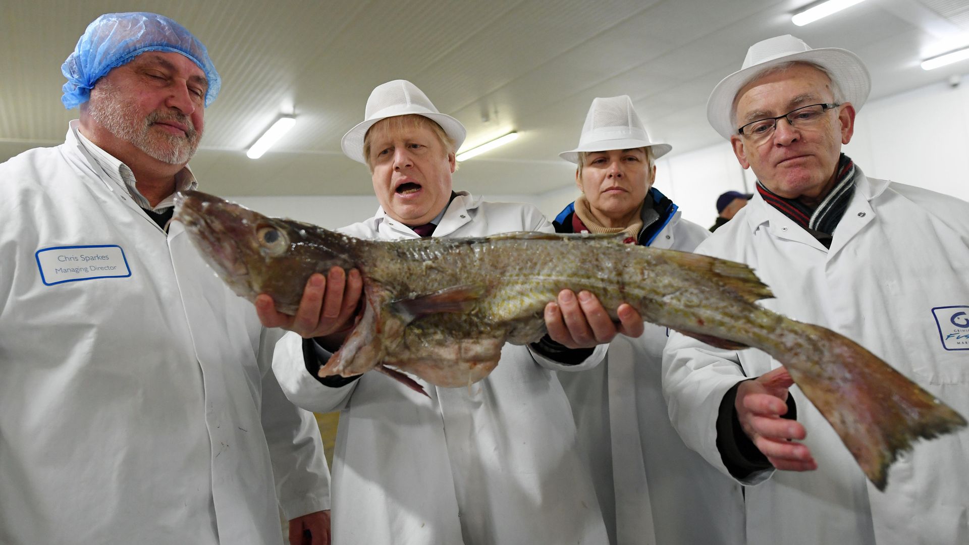 A cold, slimy, dead-eyed creature meets a fish at Grimsby market - Credit: PA