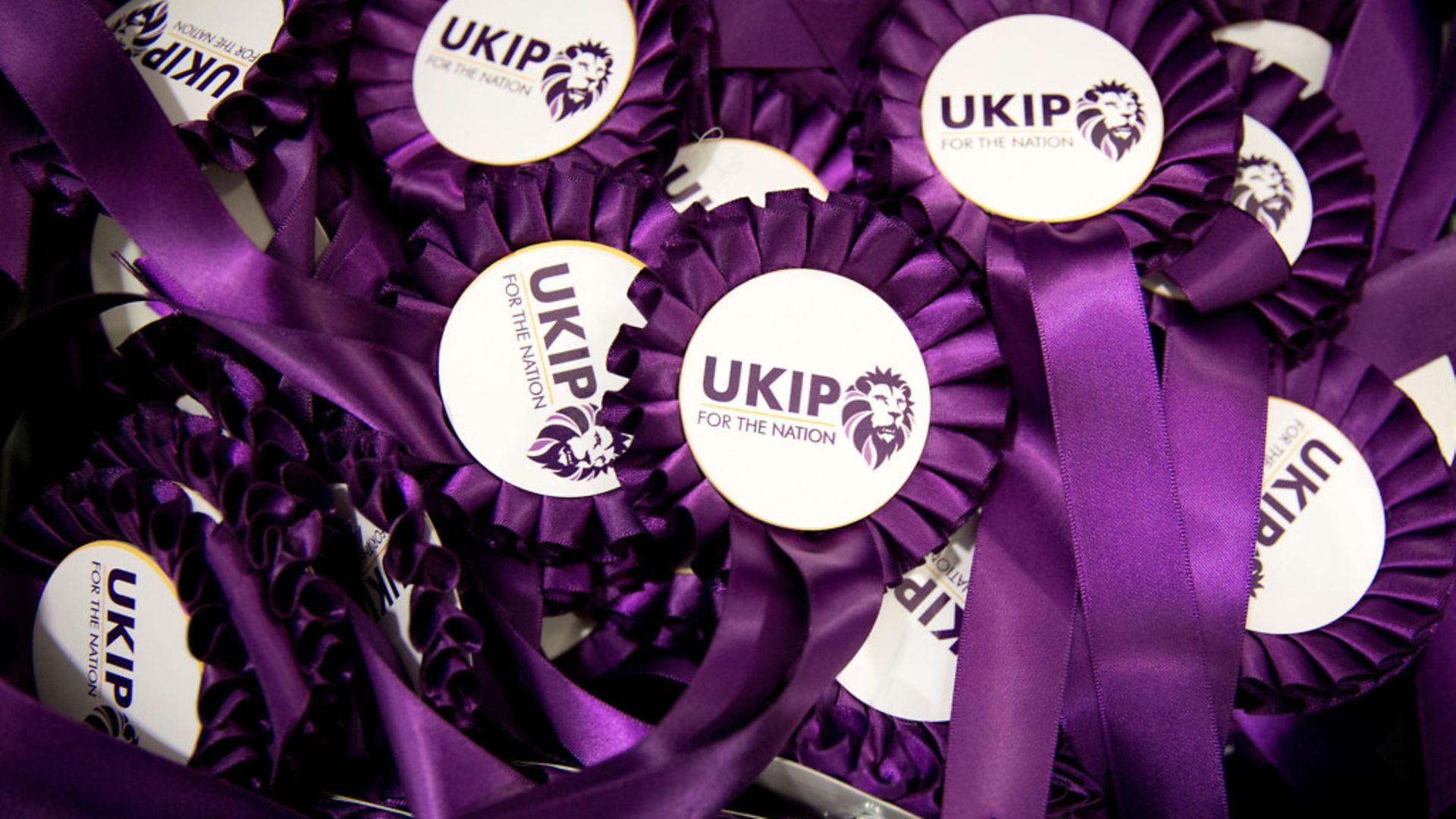 UKIP rosettes - Credit: Getty Images