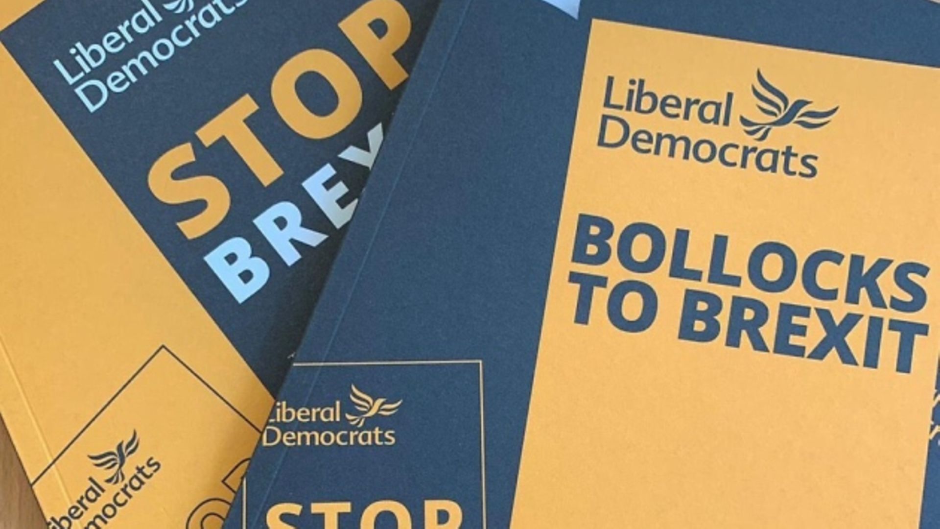 Lib Dems use 'Bollocks to Brexit' messaging. Photograph: Twitter.