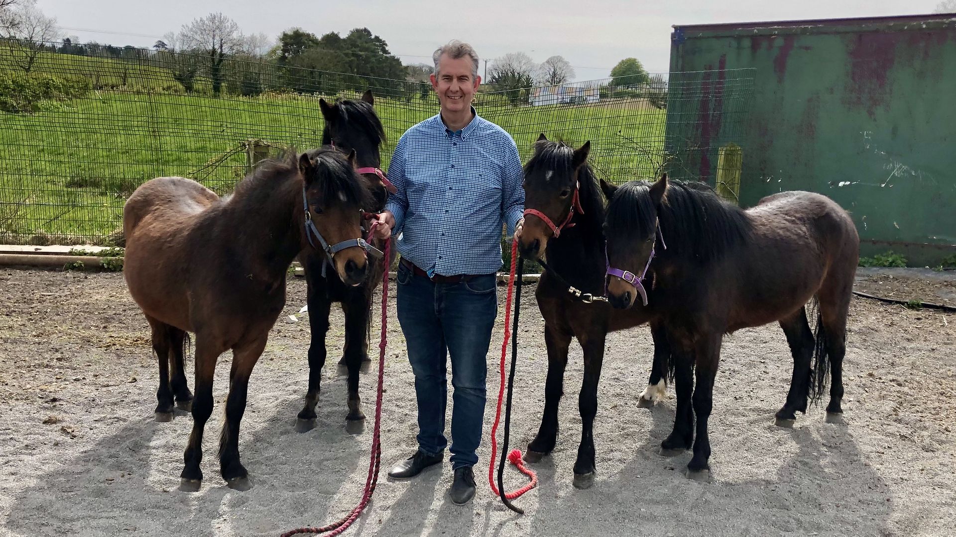 The DUP's Edwin Poots with the ponies at Ashleigh Massey's farm near Ballygowan, Co Down - Credit: PA