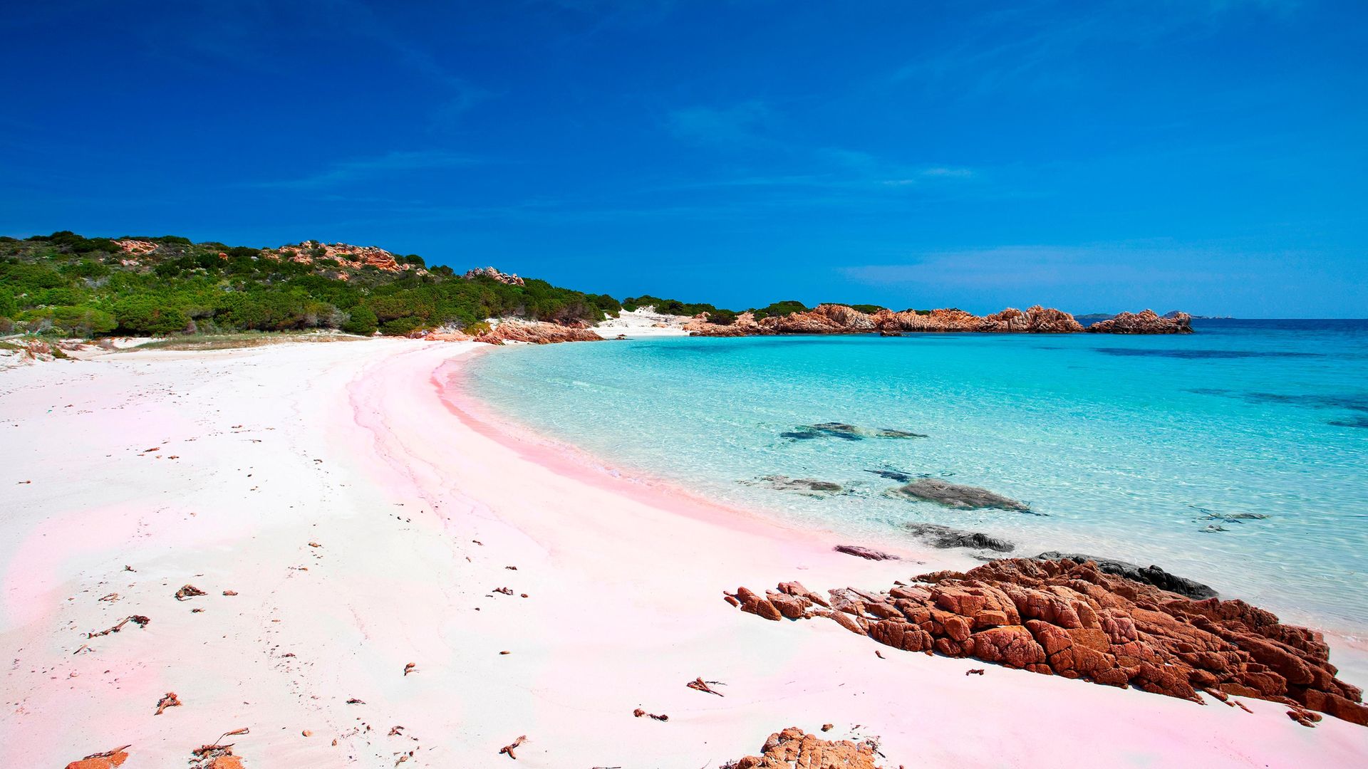 Budelli island, off Sardinia, where Mauro Marandi has lived alone for the past 30 years - Credit: Photo by: Luca Picciau/REDA&CO/Universal Images Group via Getty Images