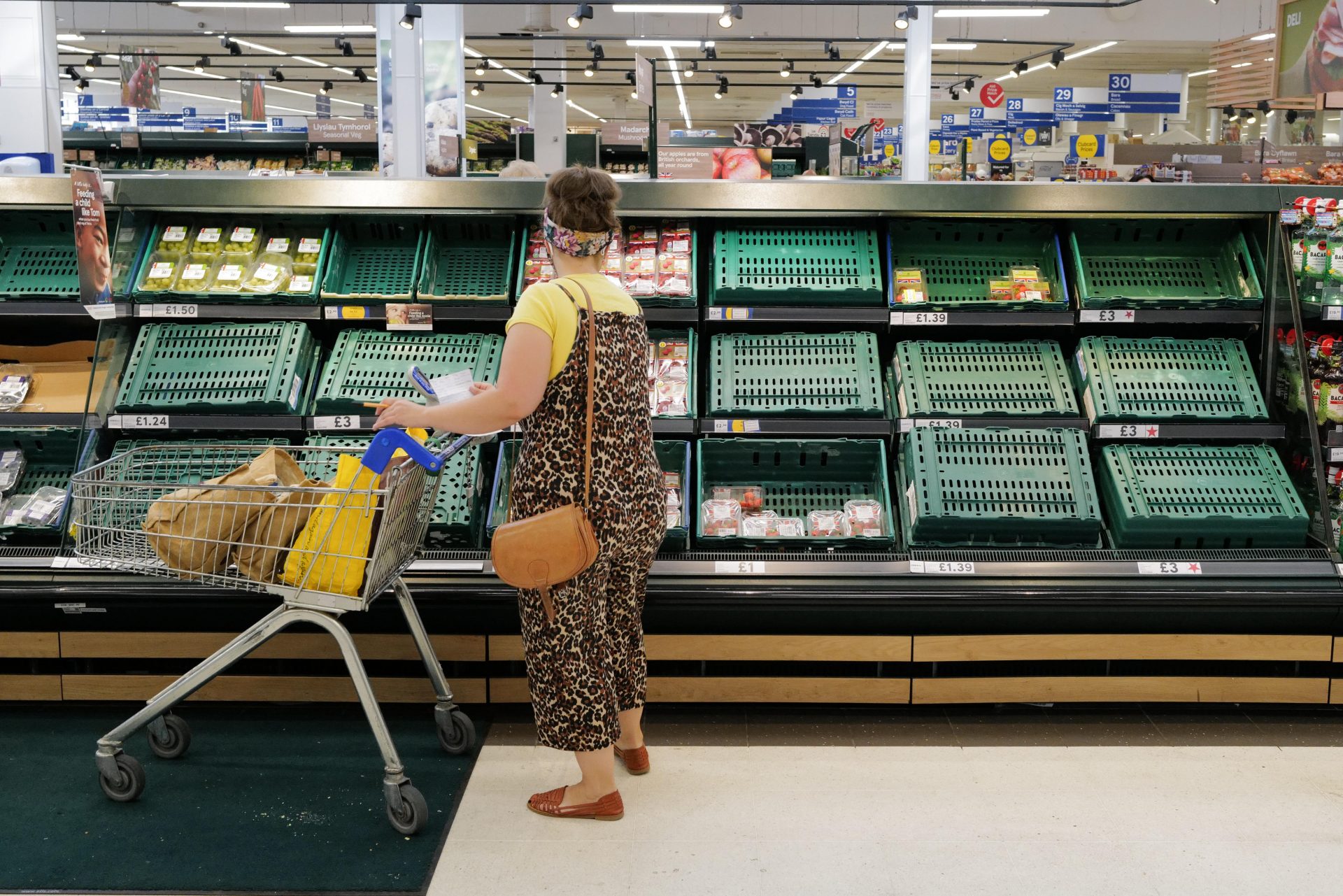 Brexit has made empty or depleted supermarket shelves a common sight. Here, a shopper in Cardiff weighs up the remaining choices. Photo: Charles McQuillan/Getty Images