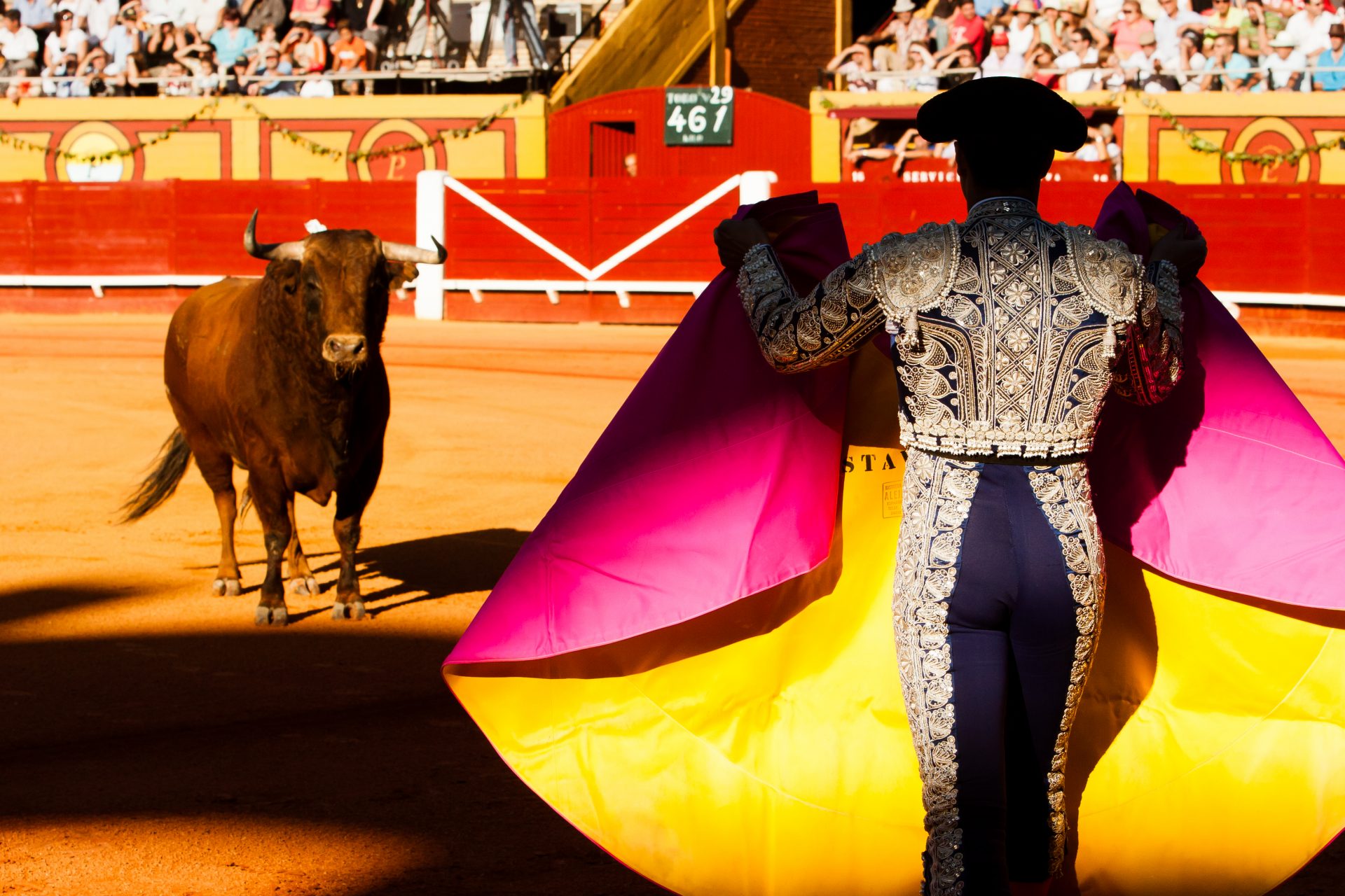 Bullfighting in Andalusia, Spain. Photograph: Getty Images.