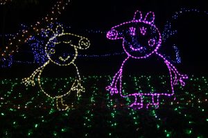 Peppa Pig-shaped lanterns during a light show in Guangdong
Province, China. Photo: VCG via Getty Images.