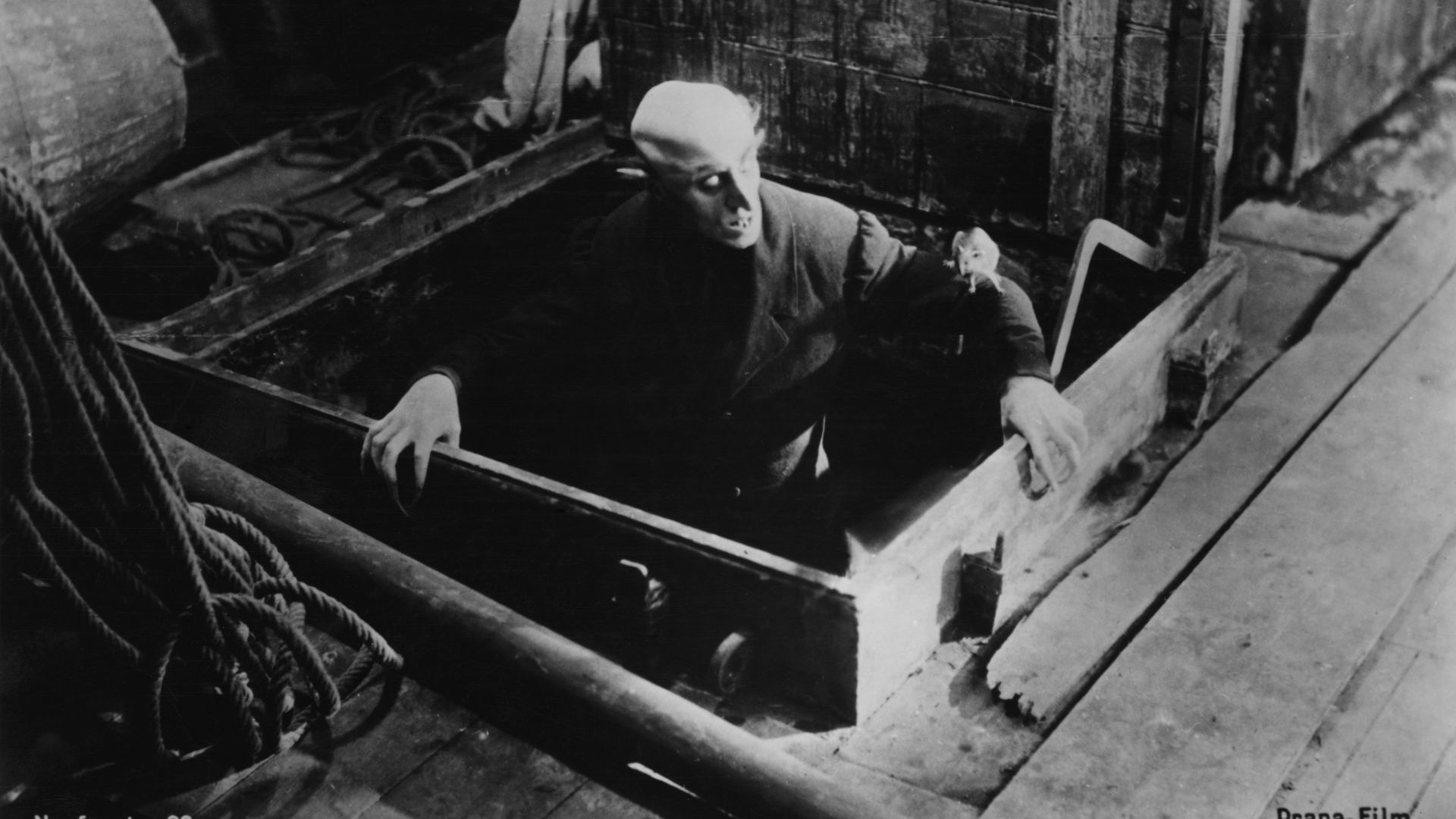 Max Schrek as the vampire Count Orlok in Nosferatu. Photo: Frederic Lewis/Hulton 
Archive/Getty