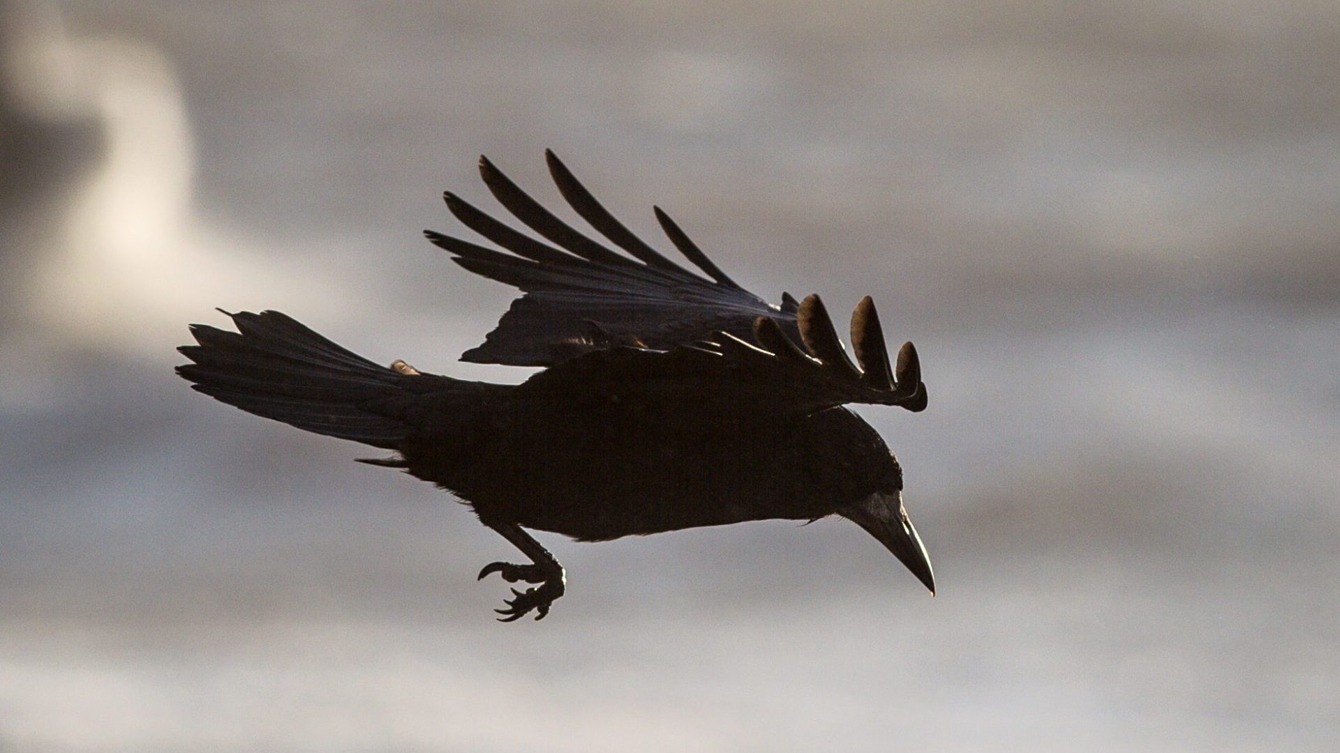 Photo: Ben Birchall/PA Archive/PA Images