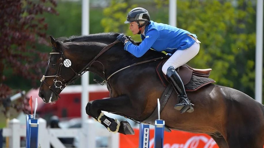 Photo: European Sports Horses