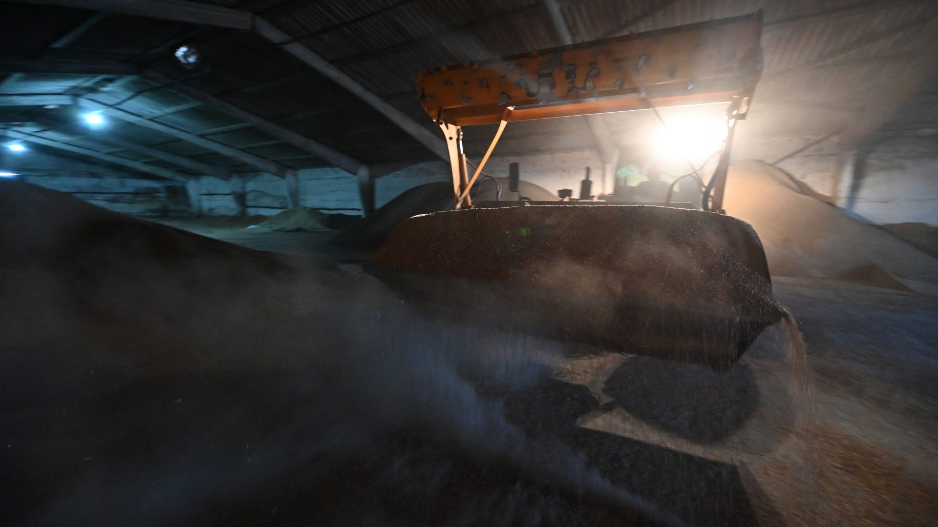 A worker drives a tractor to move seeds to feed animals at a farm in southern Ukraine's Odessa region (Photo by GENYA SAVILOV/AFP via Getty Images)