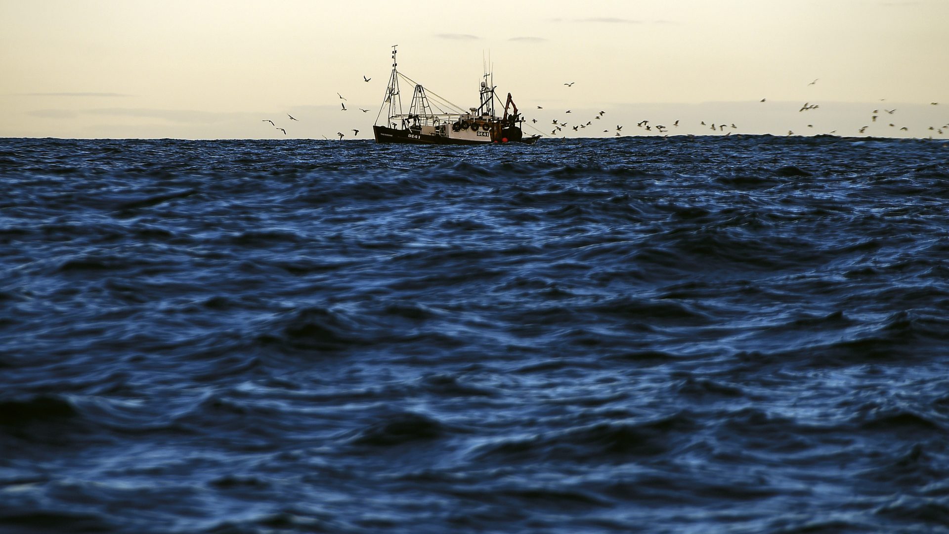 From North Sea fishing rights to oil trading, Russia is proving effective at limiting the effects of sanctions (Photo: Andy Buchanan/AFP)