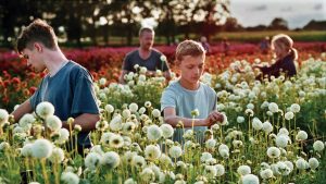 Realist tearjerker Close
belongs to the two 13-year-old boys at its heart (Photo: Kris Dewitte Menuet/
Cannes)