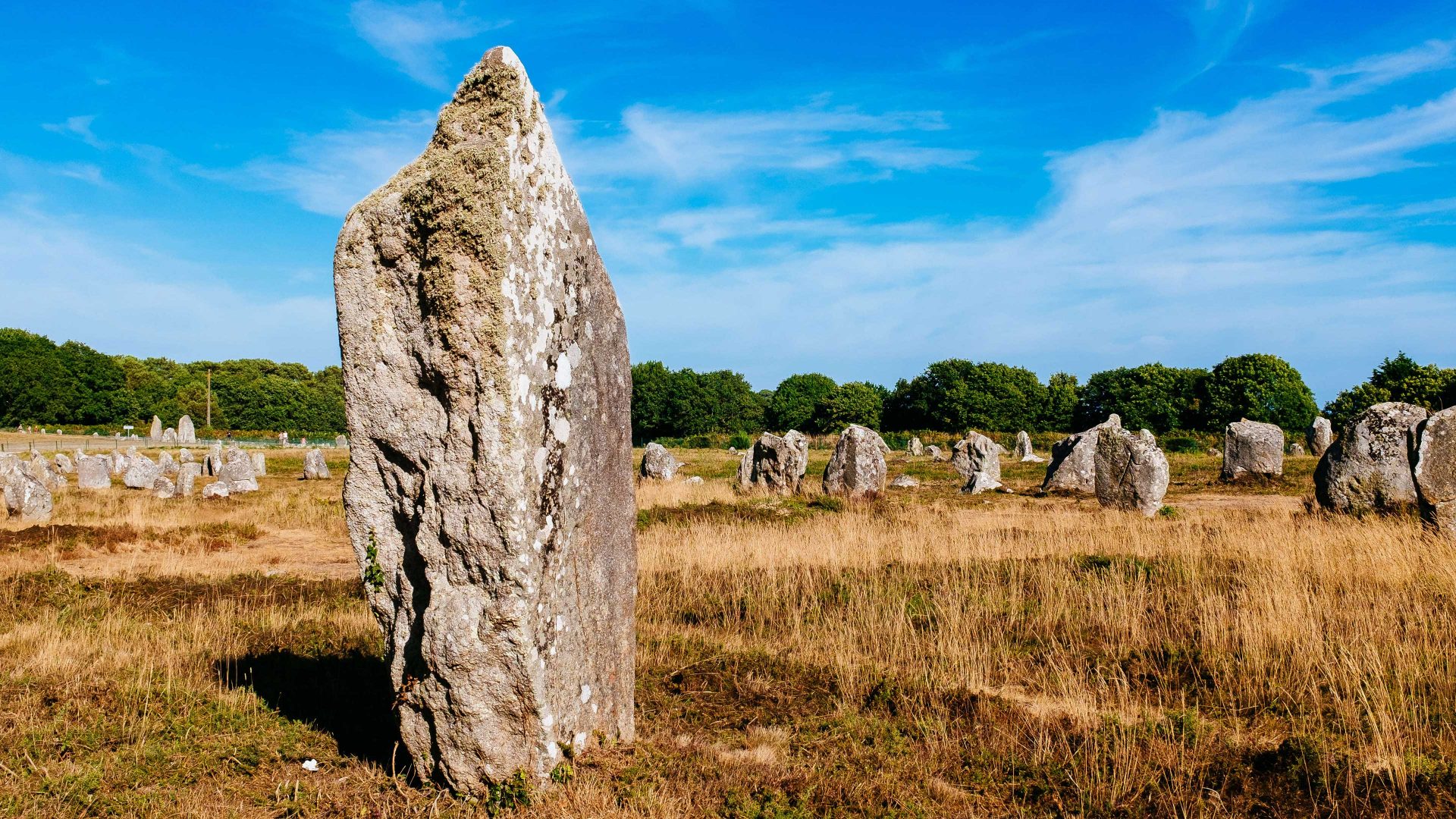 One of the 1029 
Kermario standing stones in Carnac, France. Photo: Raquel Maria 
Carbonell Pagola/
LightRocket
