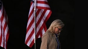 Taken down by Trump: Liz Cheney lost her renomination in Wyoming’s Republican primary. Photo: Alex Wong/Getty
