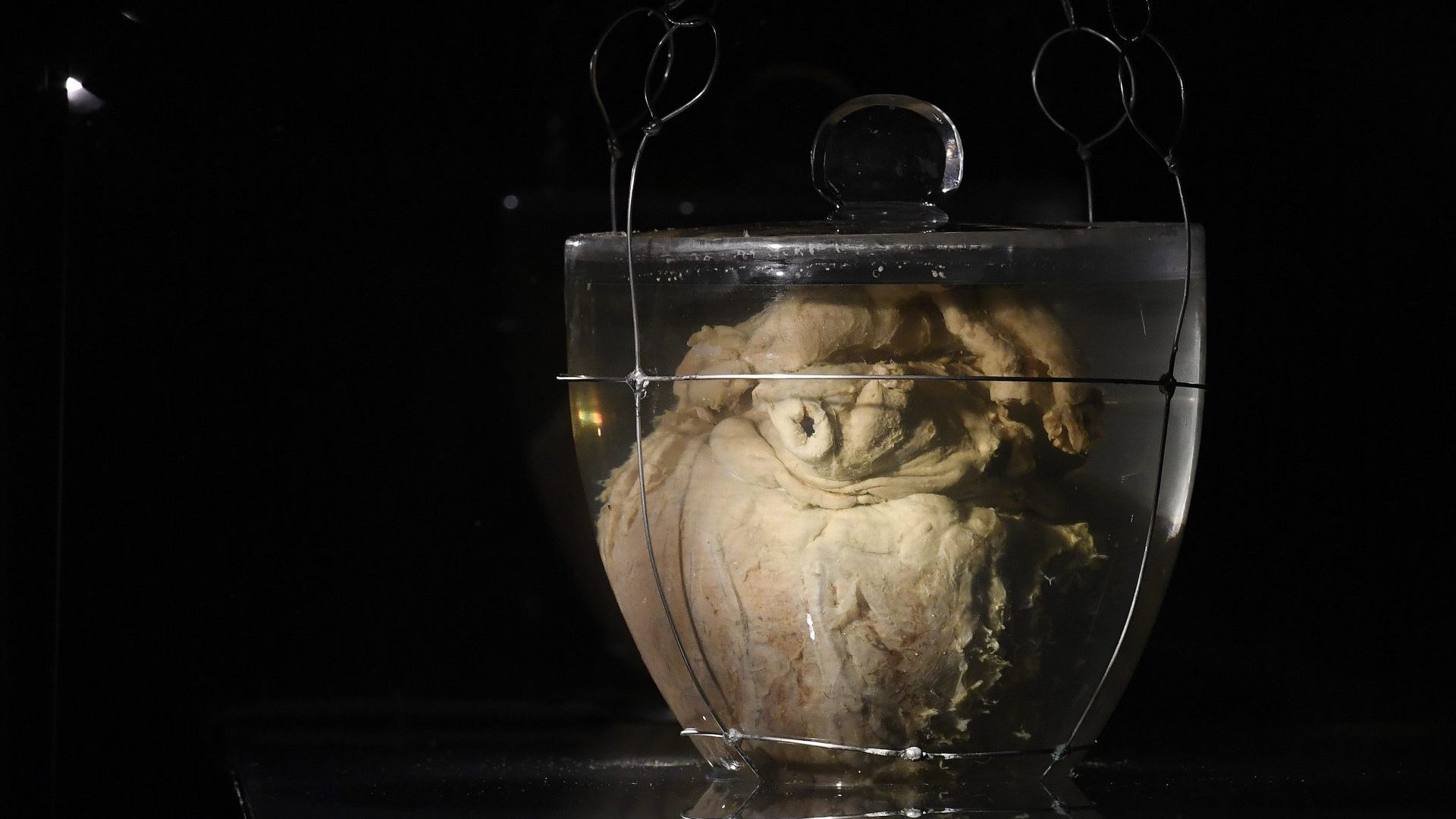 The embalmed heart of Dom Pedro is exhibited at Itamaraty Palace in Brasília on August 24 at the request of the Brazilian president, Jair Bolsonaro. Photo: Mateus Bonomi/Getty Images