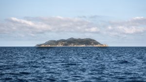 Twenty nautical miles separate Livorno from the smallest island in the Tuscan archipelago – Gorgona, Italy’s last prison island. A small mountainous island, rich in chestnut trees, black alders, holm oaks and Aleppo pines typical of the Mediterranean maquis shrubland. Photo: Federico Tisa