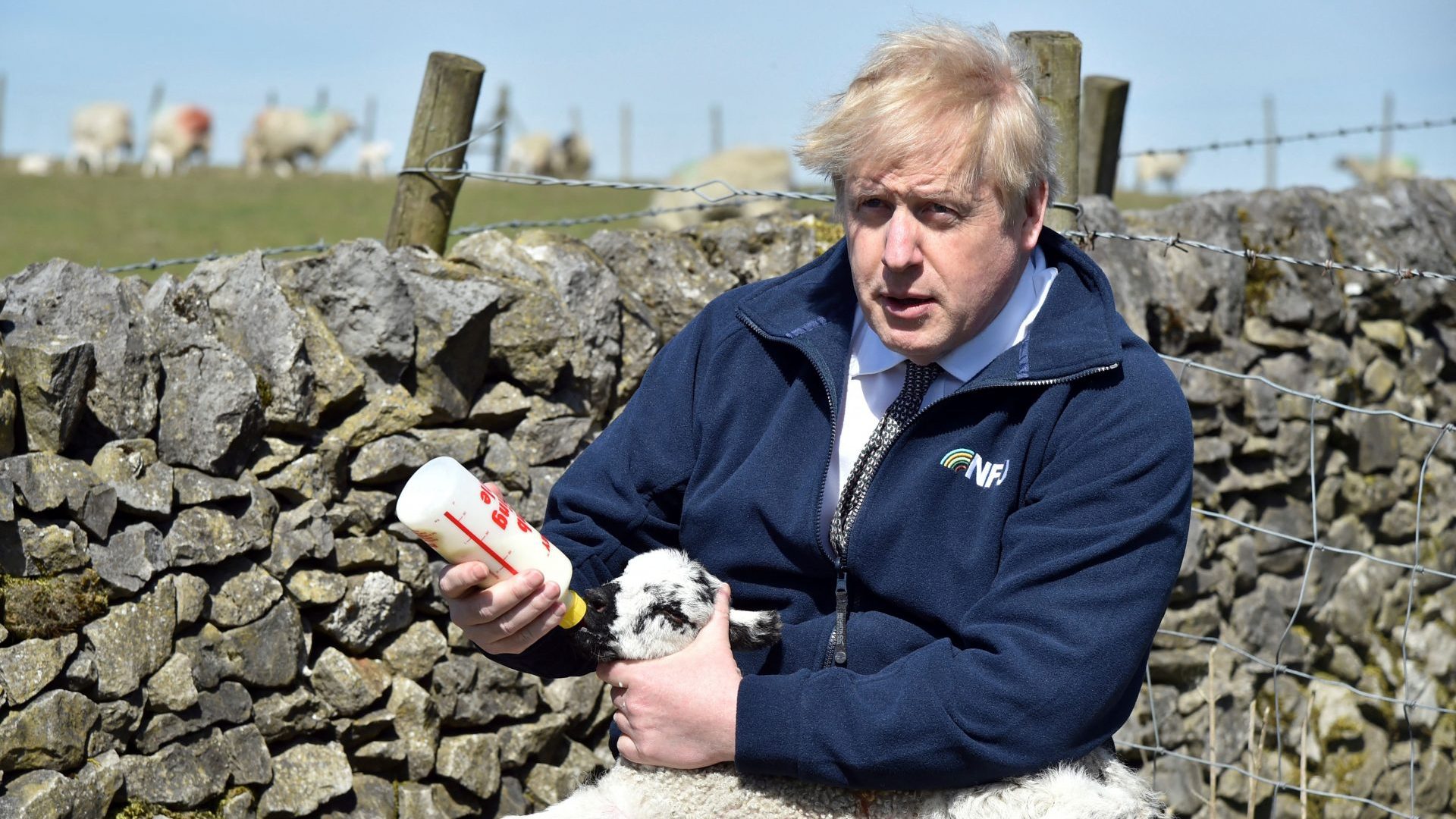Boris Johnson visits a farm in April 2021 during the local election campaign. Small farms have been hit hard by reduced subsidies post-Brexit. Photo: Rui Vieira/AFP/Getty