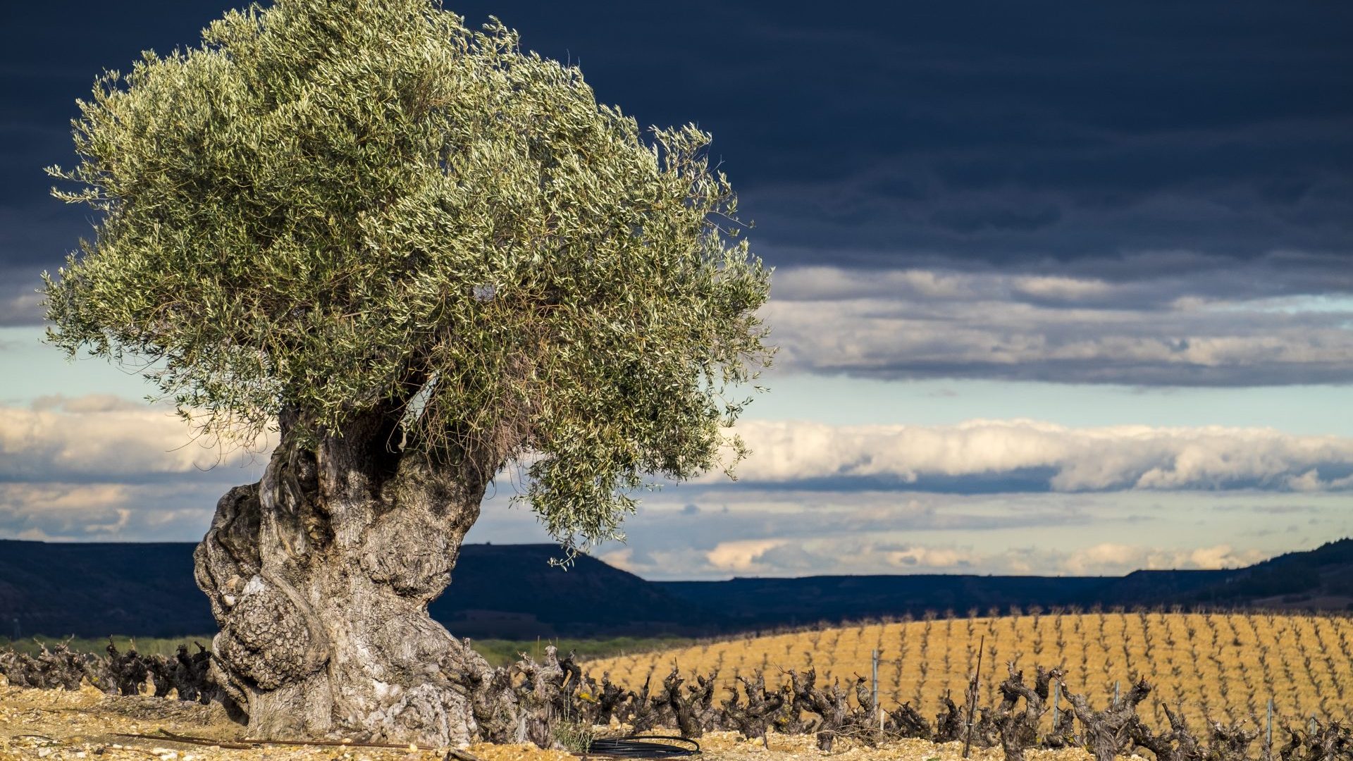 Italia se está quedando sin ‘combustible’