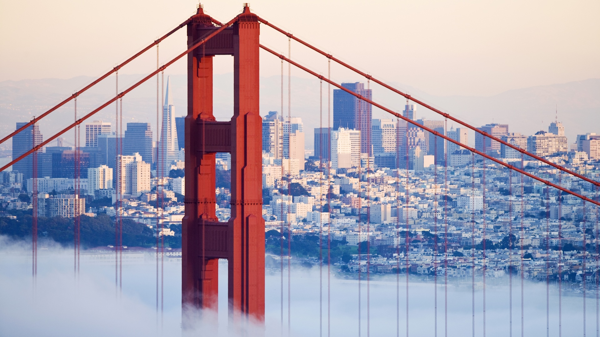 In some eyes, San Francisco has become a kind of Mad Max Beyond Thunderdome. Photo: Noah Clayton/Getty