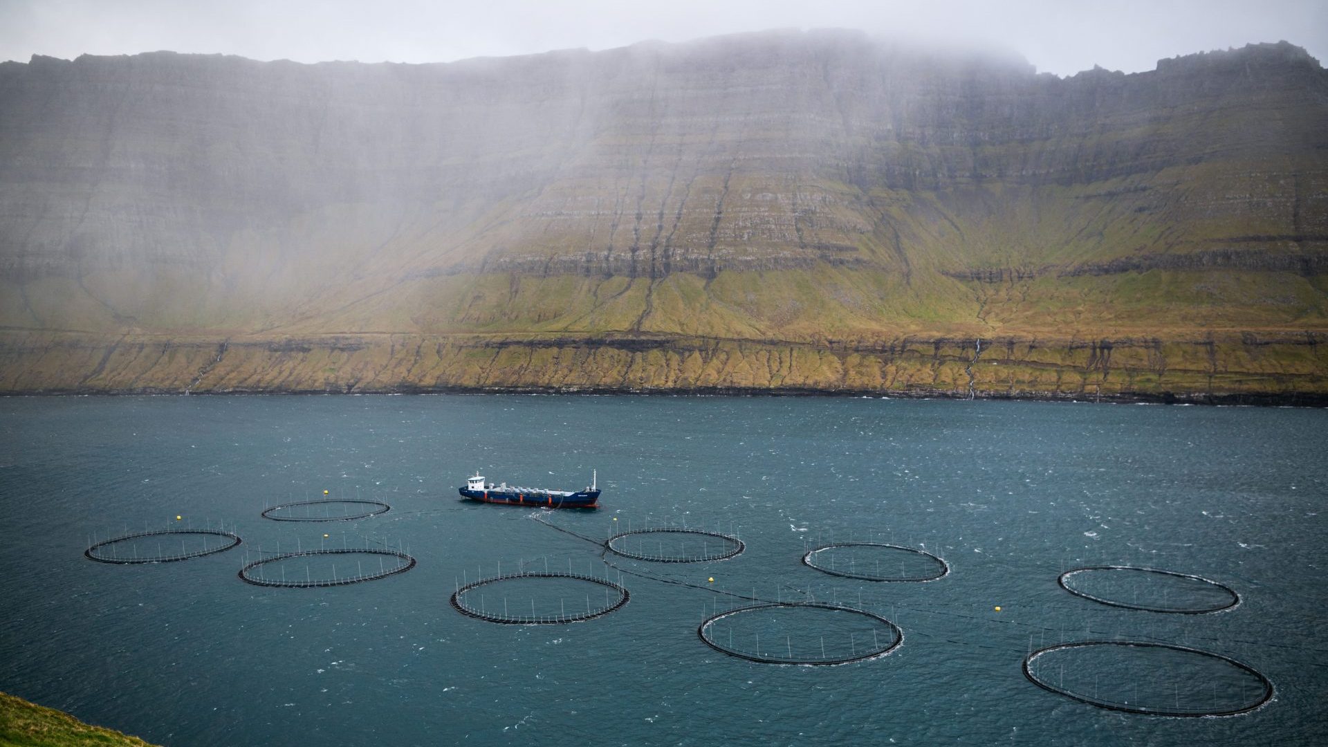 Big open sea circular nets used for salmon farming are pictured between the islands of Bordoy island and Vidoy Island, on October 10, 2021, near Vidareidi village in the Faroe Islands (Photo by JONATHAN NACKSTRAND/AFP via Getty Images)
