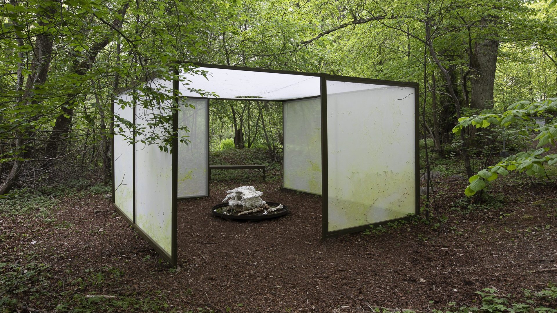 Alma Heikkilä’s 
space-within-a-space in the forest on Vallisaari Island. Photo: HAM